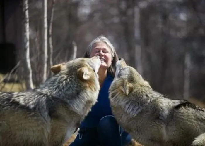 호텔 Rodberg Hotel Rodberg