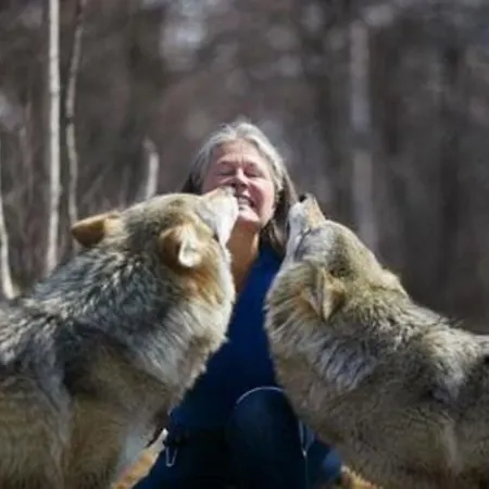 Hotell Rodberg Hotel Rodberg